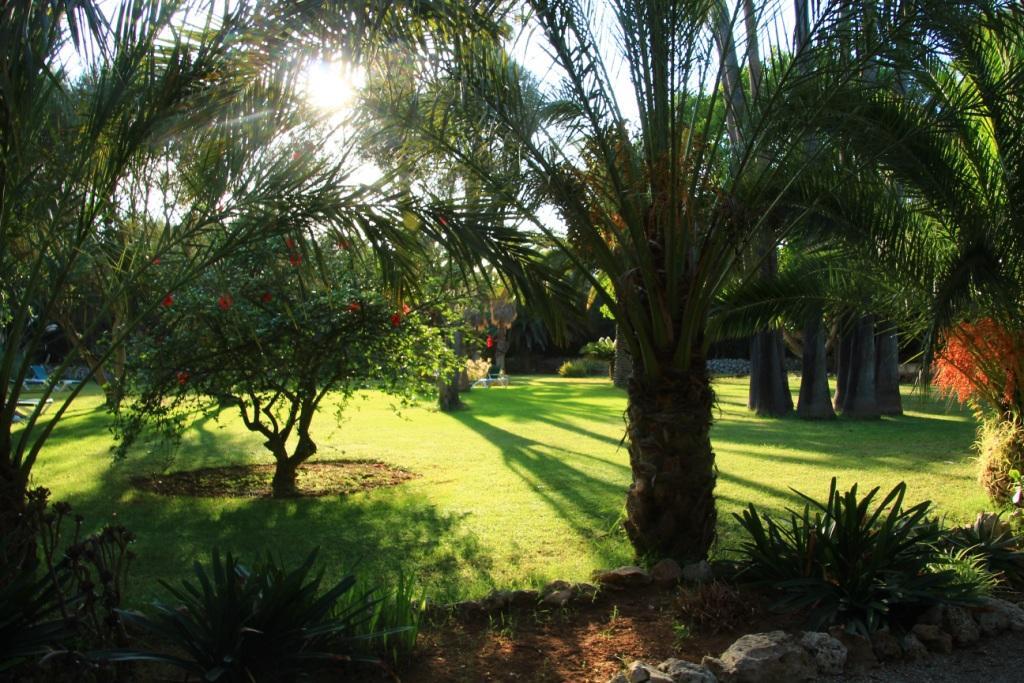 Finca Hotel Predio Son Serra كان بيكافورت المظهر الخارجي الصورة
